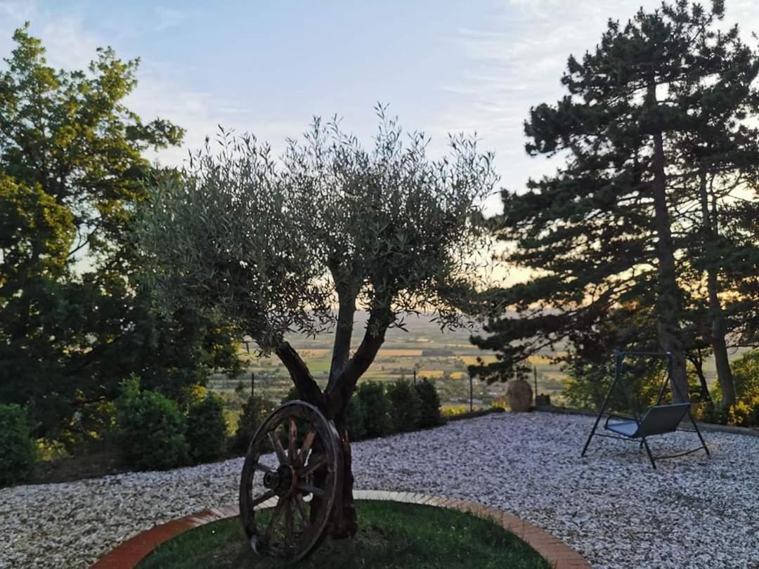 Villa Casina Dei Sogni à Arezzo Extérieur photo