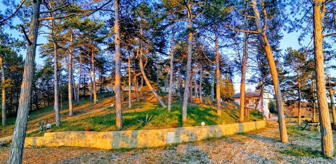 Villa Casina Dei Sogni à Arezzo Extérieur photo