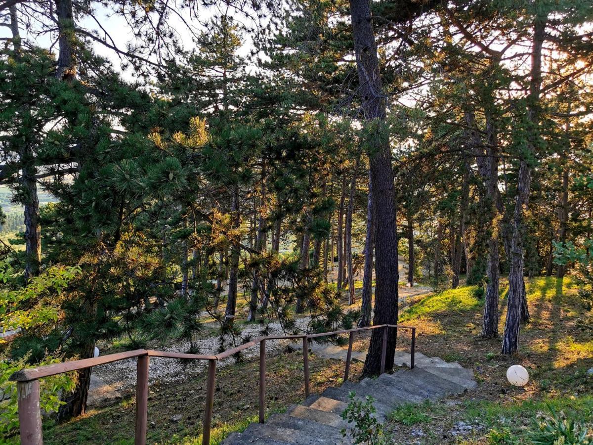 Villa Casina Dei Sogni à Arezzo Extérieur photo